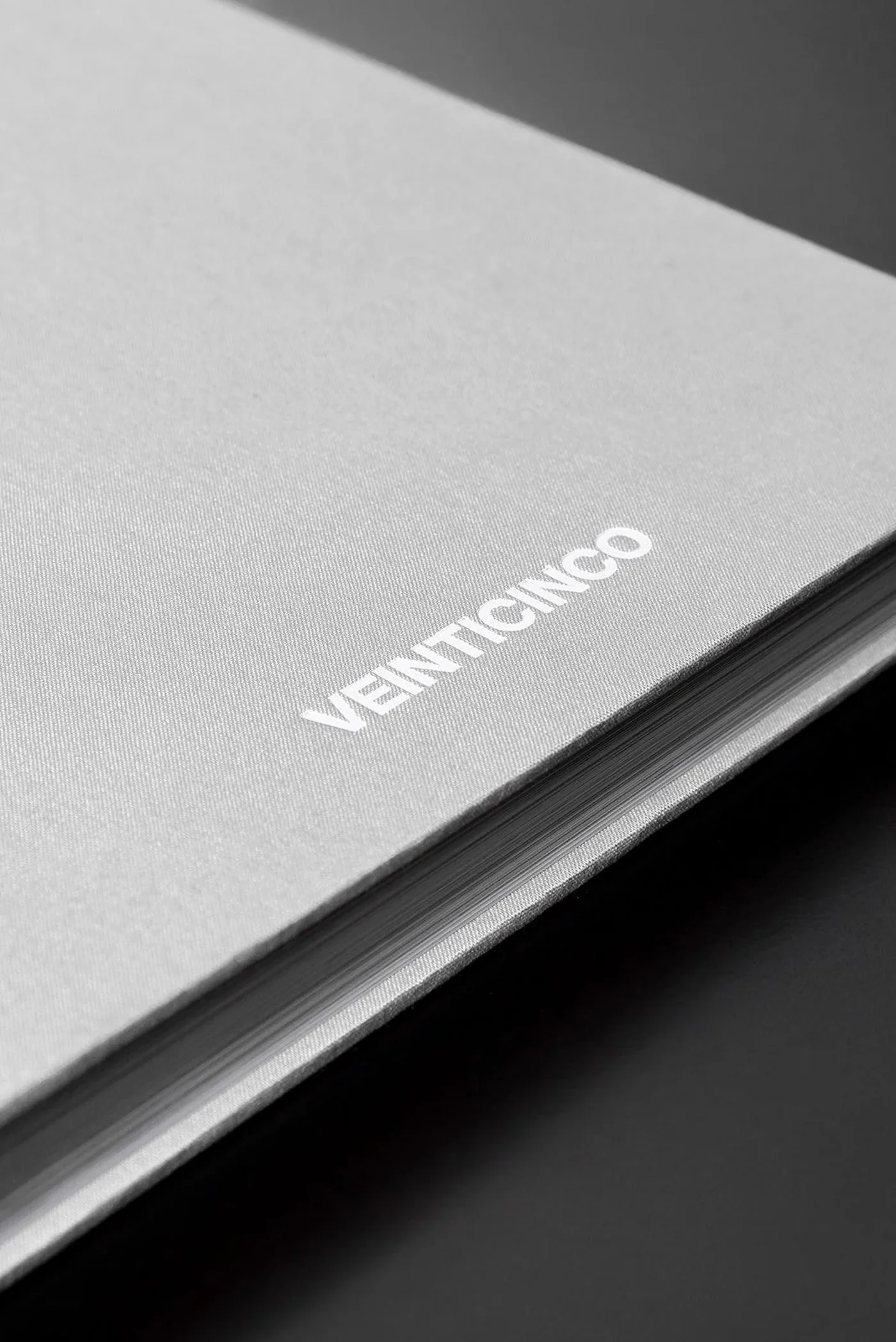 Veinticinco: serigrafía blanca sobre el lino gris de la portada.